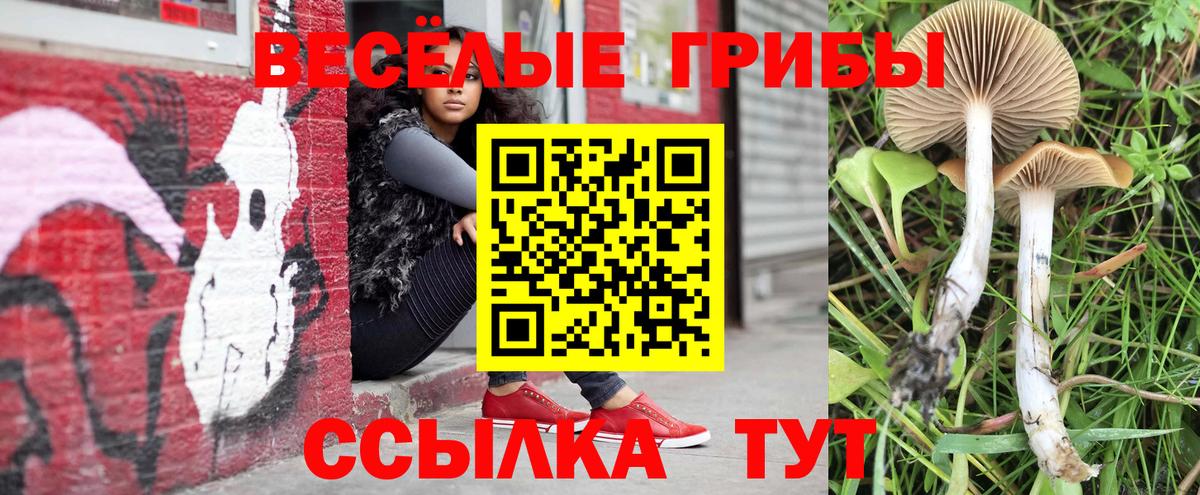 Псилоцибиновые грибы Cubensis  как найти наркотики  Вход с VPN  Карталы  Галлюциногенные грибы мицелий 