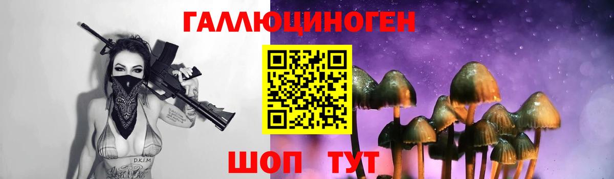 Галлюциногенные грибы Cubensis Карталы